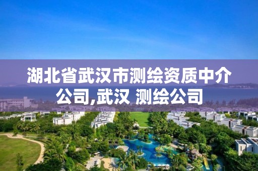 湖北省武漢市測繪資質中介公司,武漢 測繪公司