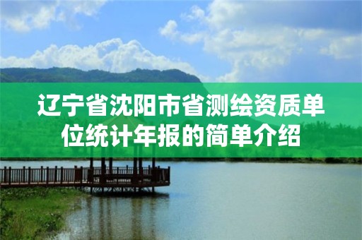 遼寧省沈陽市省測繪資質單位統計年報的簡單介紹