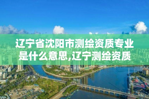 遼寧省沈陽市測繪資質專業是什么意思,遼寧測繪資質管理系統登錄。