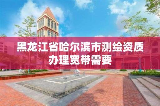 黑龍江省哈爾濱市測繪資質辦理寬帶需要