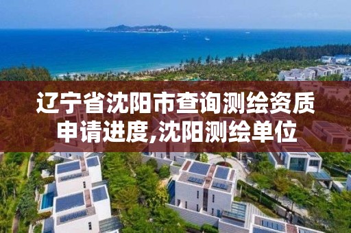 遼寧省沈陽市查詢測繪資質申請進度,沈陽測繪單位