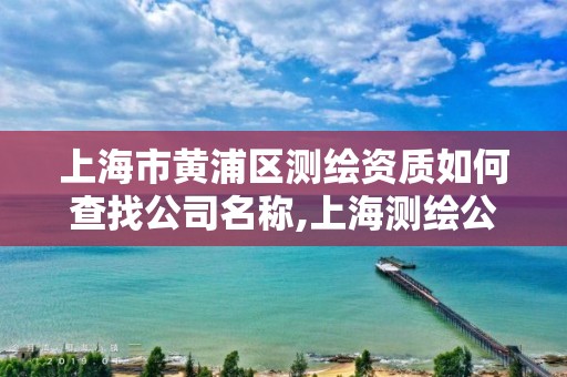 上海市黃浦區(qū)測繪資質(zhì)如何查找公司名稱,上海測繪公司有哪幾家。