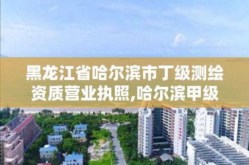 黑龍江省哈爾濱市丁級測繪資質營業執照,哈爾濱甲級測繪公司