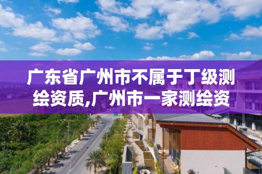 廣東省廣州市不屬于丁級測繪資質,廣州市一家測繪資質單位。