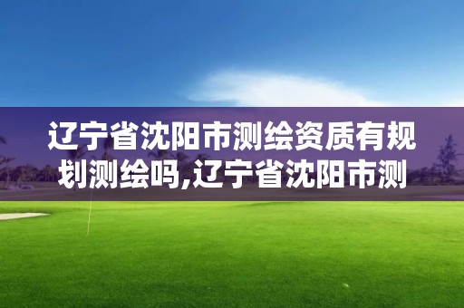 遼寧省沈陽市測繪資質有規劃測繪嗎,遼寧省沈陽市測繪資質有規劃測繪嗎多少錢