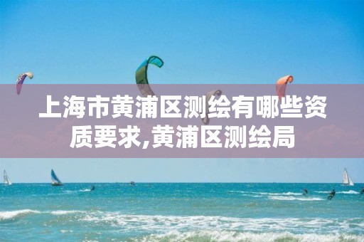 上海市黃浦區測繪有哪些資質要求,黃浦區測繪局