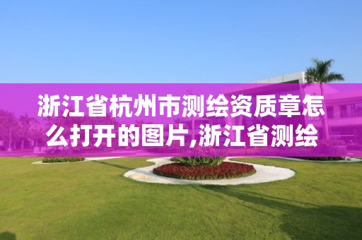 浙江省杭州市測繪資質章怎么打開的圖片,浙江省測繪資質管理實施細則。