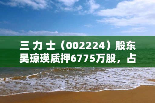 三 力 士（002224）股東吳瓊瑛質押6775萬股，占總股本9.29%