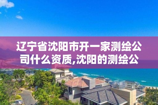 遼寧省沈陽市開一家測繪公司什么資質(zhì),沈陽的測繪公司。