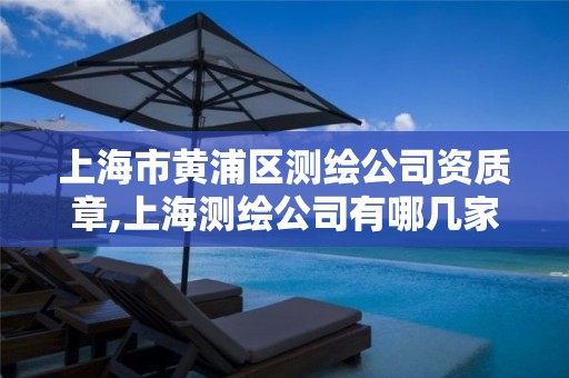 上海市黃浦區測繪公司資質章,上海測繪公司有哪幾家