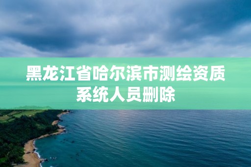 黑龍江省哈爾濱市測繪資質系統人員刪除