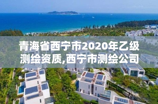 青海省西寧市2020年乙級測繪資質,西寧市測繪公司