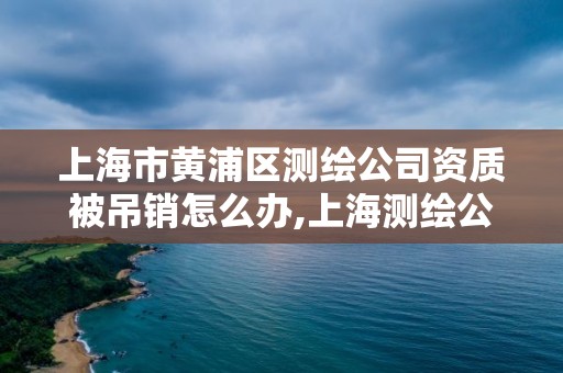 上海市黃浦區測繪公司資質被吊銷怎么辦,上海測繪公司排名名單