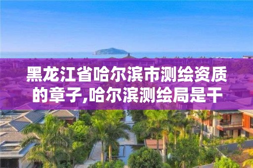 黑龍江省哈爾濱市測(cè)繪資質(zhì)的章子,哈爾濱測(cè)繪局是干什么的