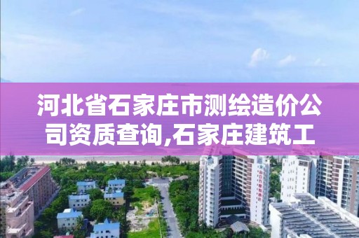 河北省石家莊市測繪造價公司資質查詢,石家莊建筑工程測量