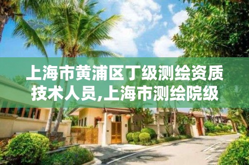 上海市黃浦區丁級測繪資質技術人員,上海市測繪院級別