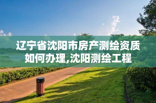 遼寧省沈陽市房產測繪資質如何辦理,沈陽測繪工程