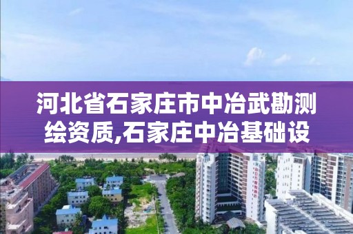 河北省石家莊市中冶武勘測繪資質,石家莊中冶基礎設施投資有限公司