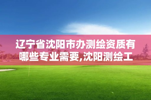 遼寧省沈陽市辦測(cè)繪資質(zhì)有哪些專業(yè)需要,沈陽測(cè)繪工資。