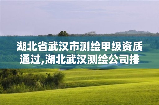 湖北省武漢市測繪甲級資質(zhì)通過,湖北武漢測繪公司排行榜