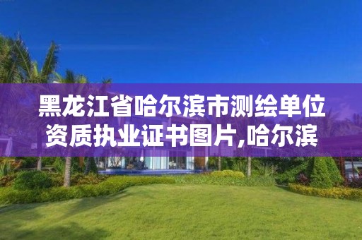 黑龍江省哈爾濱市測繪單位資質執業證書圖片,哈爾濱測繪地理信息局。