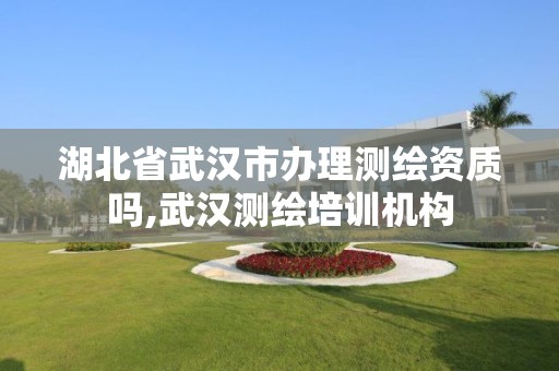 湖北省武漢市辦理測繪資質嗎,武漢測繪培訓機構