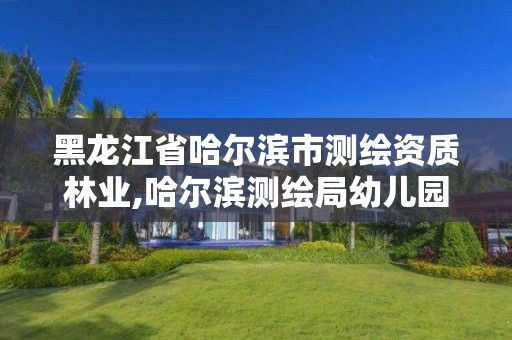 黑龍江省哈爾濱市測繪資質林業,哈爾濱測繪局幼兒園是民辦還是公辦