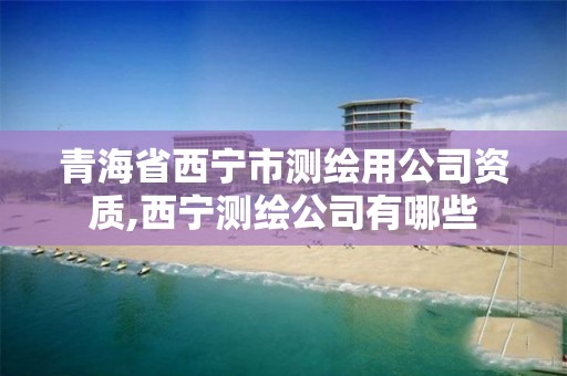 青海省西寧市測繪用公司資質,西寧測繪公司有哪些