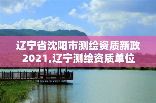 遼寧省沈陽市測繪資質(zhì)新政2021,遼寧測繪資質(zhì)單位