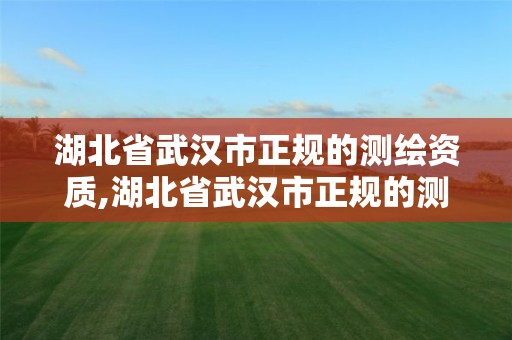 湖北省武漢市正規的測繪資質,湖北省武漢市正規的測繪資質公司