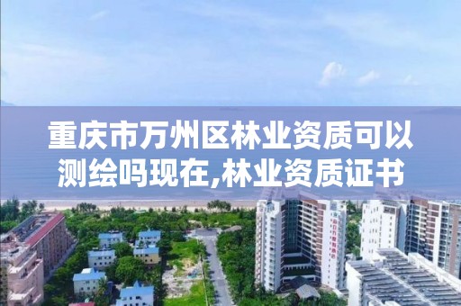 重慶市萬州區林業資質可以測繪嗎現在,林業資質證書怎么辦理?