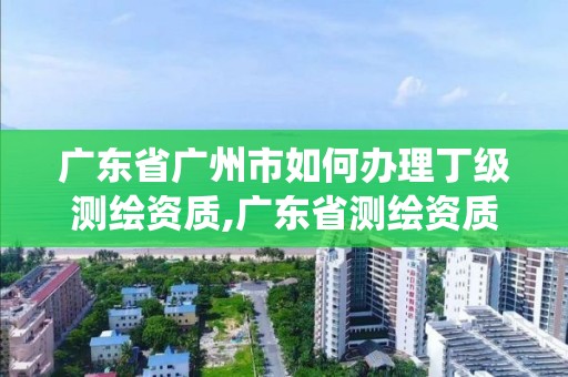 廣東省廣州市如何辦理丁級測繪資質,廣東省測繪資質管理系統