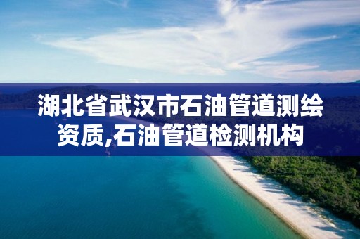 湖北省武漢市石油管道測繪資質(zhì),石油管道檢測機構