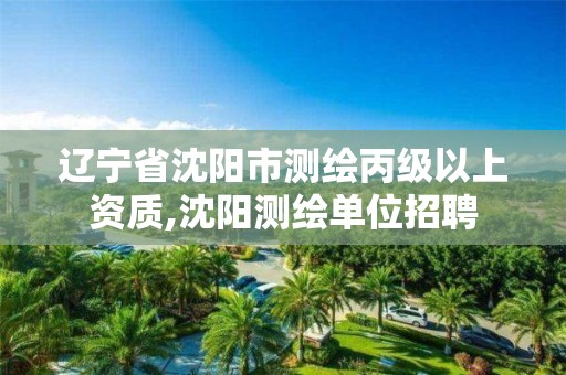 遼寧省沈陽市測繪丙級以上資質,沈陽測繪單位招聘