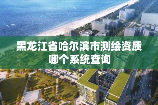 黑龍江省哈爾濱市測繪資質哪個系統(tǒng)查詢