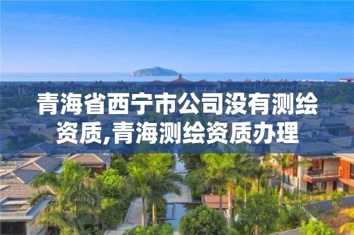 青海省西寧市公司沒(méi)有測(cè)繪資質(zhì),青海測(cè)繪資質(zhì)辦理