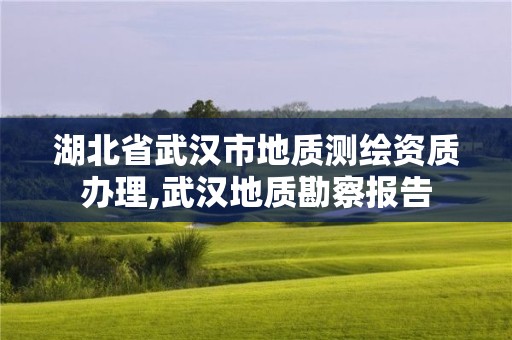 湖北省武漢市地質測繪資質辦理,武漢地質勘察報告