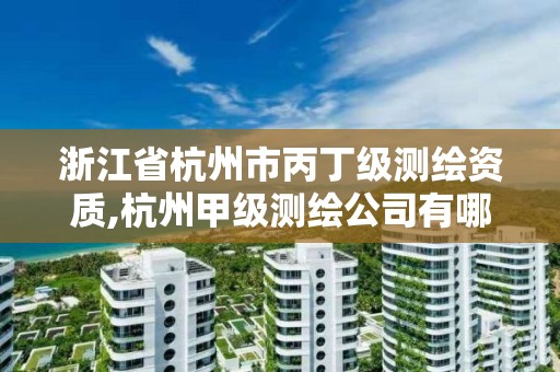 浙江省杭州市丙丁級測繪資質,杭州甲級測繪公司有哪些