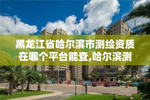 黑龍江省哈爾濱市測繪資質在哪個平臺能查,哈爾濱測繪地理信息局。