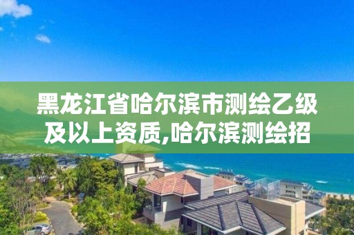 黑龍江省哈爾濱市測繪乙級及以上資質(zhì),哈爾濱測繪招聘