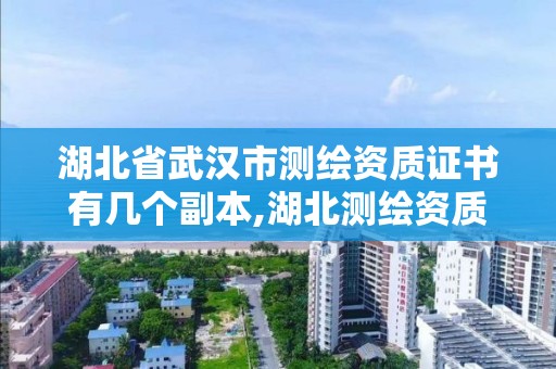 湖北省武漢市測繪資質證書有幾個副本,湖北測繪資質查詢