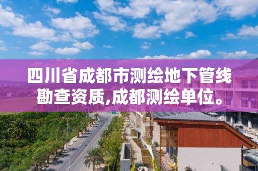 四川省成都市測(cè)繪地下管線勘查資質(zhì),成都測(cè)繪單位。