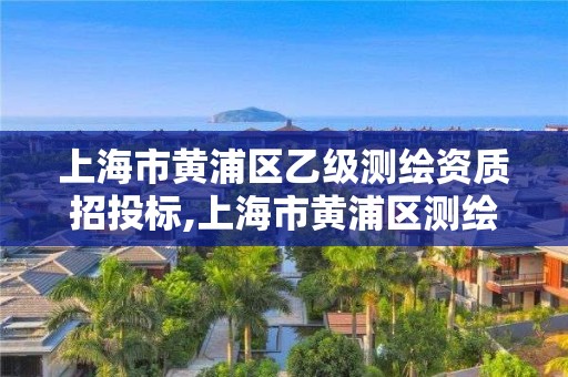 上海市黃浦區(qū)乙級測繪資質(zhì)招投標,上海市黃浦區(qū)測繪中心