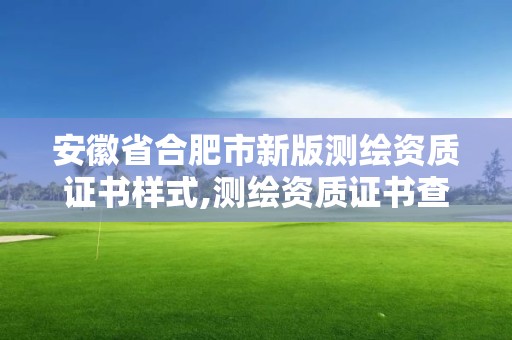 安徽省合肥市新版測繪資質證書樣式,測繪資質證書查詢官方網站。