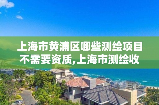 上海市黃浦區(qū)哪些測繪項目不需要資質(zhì),上海市測繪收費標準。