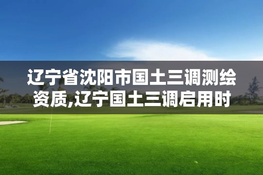 遼寧省沈陽市國土三調測繪資質,遼寧國土三調啟用時間