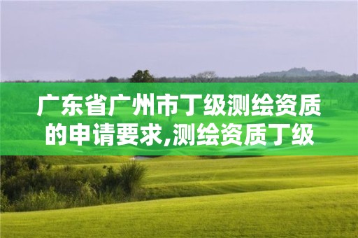 廣東省廣州市丁級測繪資質的申請要求,測繪資質丁級是什么意思