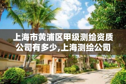 上海市黃浦區甲級測繪資質公司有多少,上海測繪公司有哪幾家。