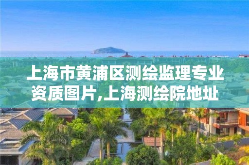 上海市黃浦區測繪監理專業資質圖片,上海測繪院地址浦東