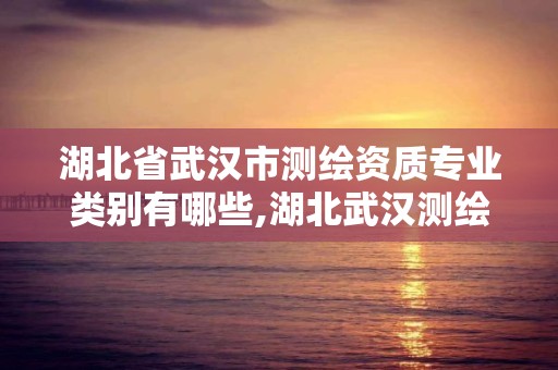 湖北省武漢市測繪資質專業類別有哪些,湖北武漢測繪公司排行榜